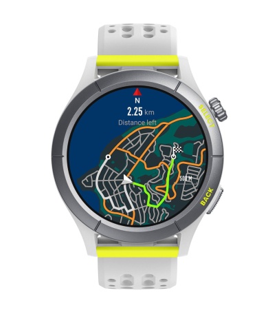 Смарт-часы AMAZFIT Cheetah R (Grey)